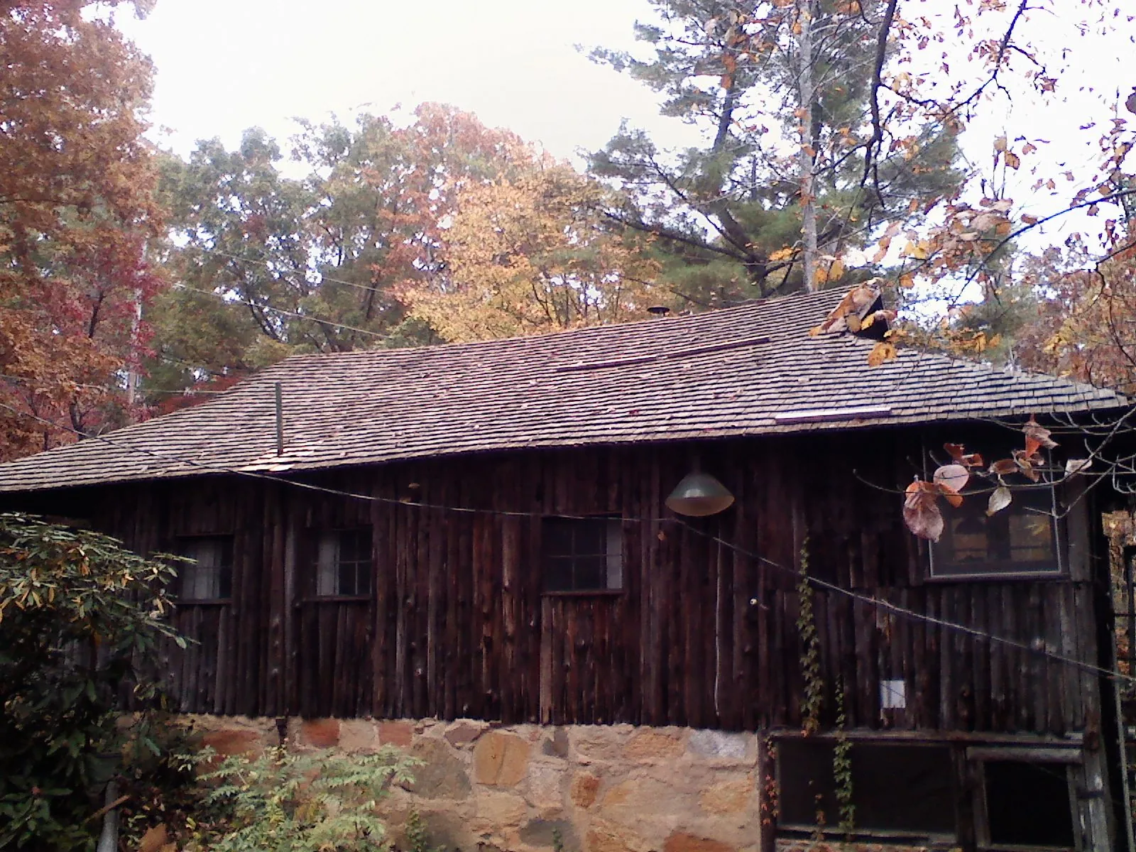 Weathered wood shake roof on a rustic board sided cabin in Churdan