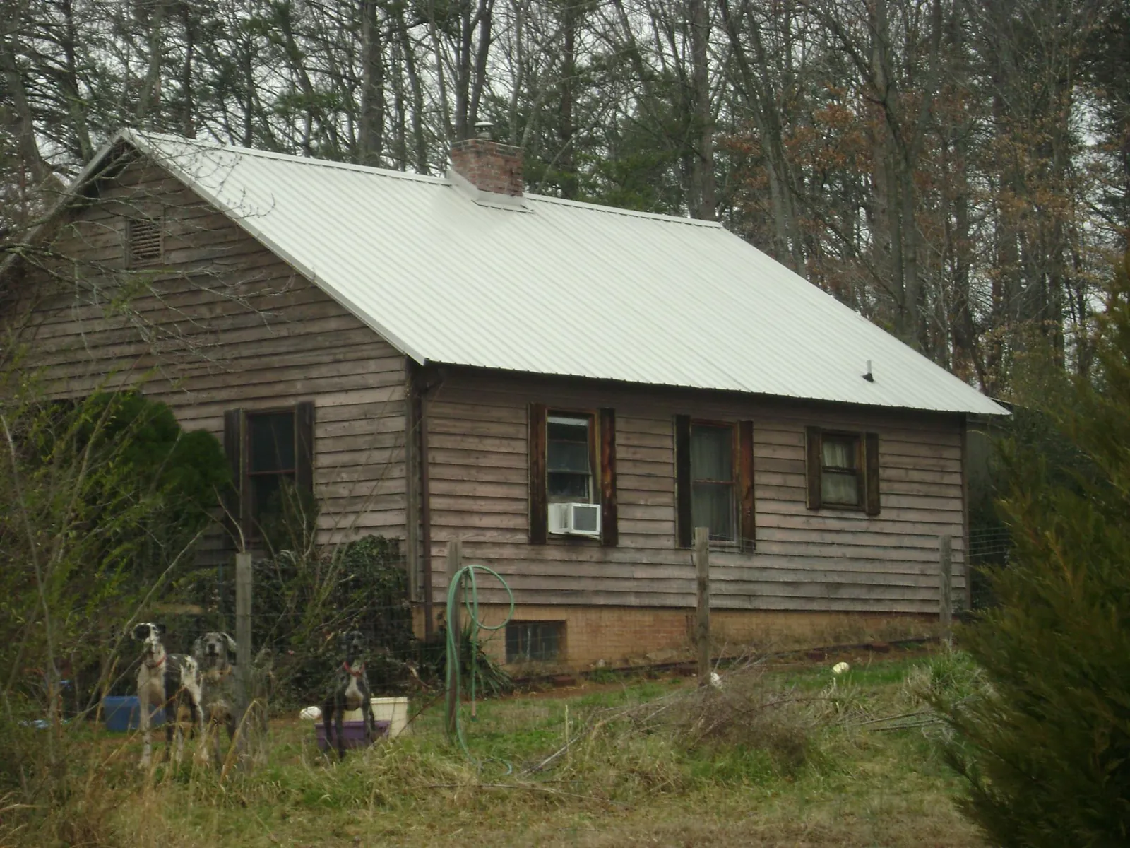 White metal roof on an old wood sided farmhouse, from a Metal Roof Installation job in Churdan